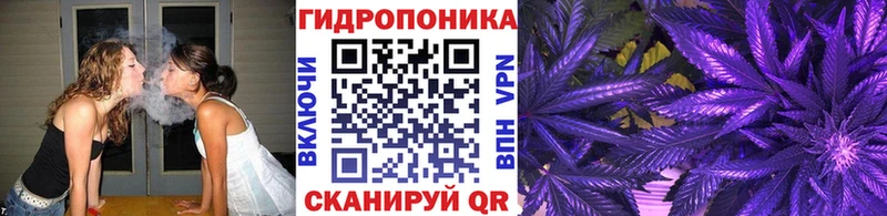 Каннабис индика  кракен онион  Котельнич 